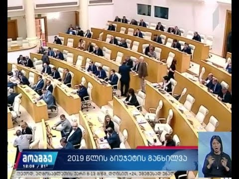 2019 წლის ბიუჯეტის განხილვა