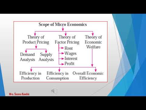Video: Wat is de reikwijdte en het onderwerp van micro-economie?