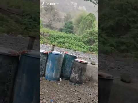 بلدي الحبيبه