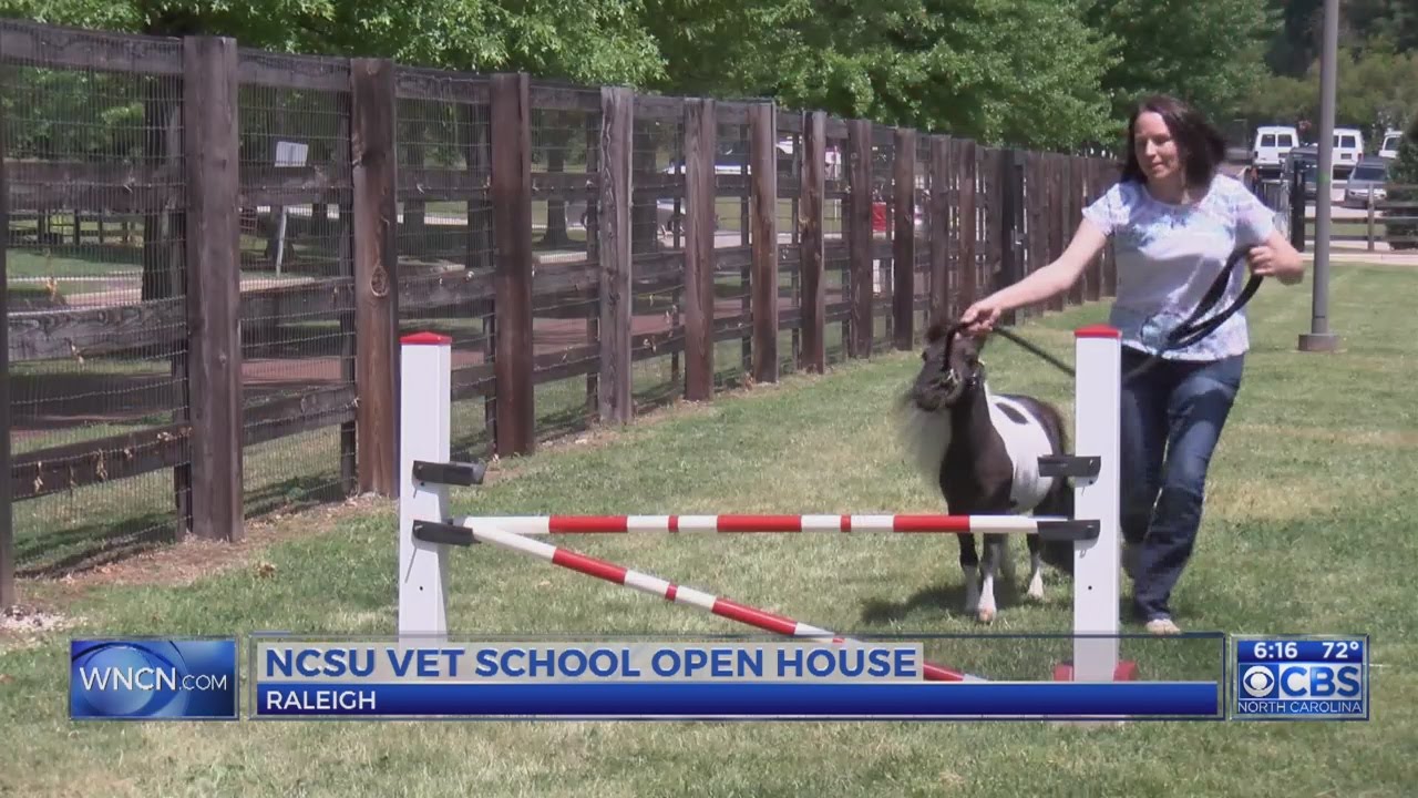 Thousands attend NC State's vet school open house YouTube