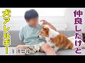 犬アレルギー対策を3週間続けたリアルな結果