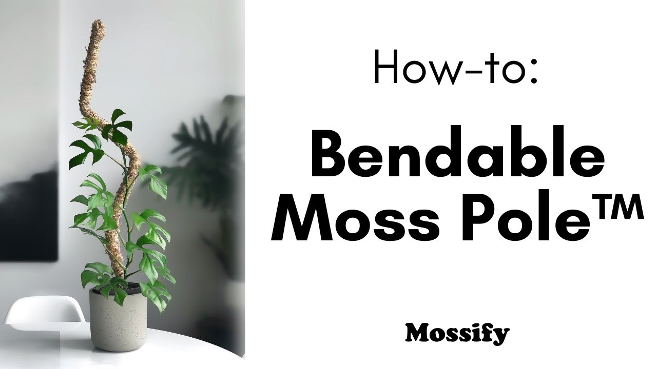 The Original Bendable Moss Pole™ Best-seller Pour plantes