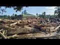 SYAIR ACEHKU SAYANG ACEHKU MALANG #Kritiksosial #himbauan #kebijakanpublik #kemanusiaan