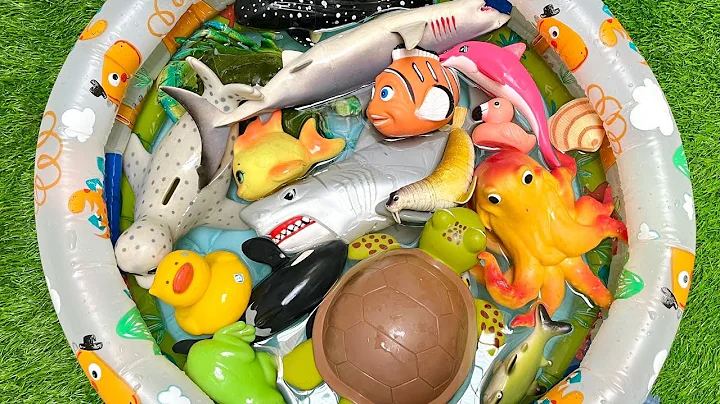 Let’s Learn Sea Animals Learn with Colorful Toy | Ocean Animals Names for Kids