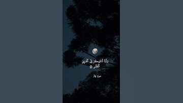القارئ هشام المقدشي #quran