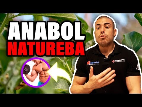 Anabolizantes naturais *isso existe?*