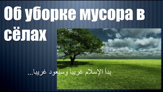 Об уборке мусора в сёлах