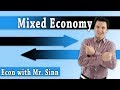 Understanding Mixed Economies