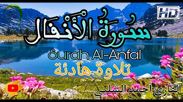 سورة الأنفال كاملة | تلاوة هادئة تريح القلب و النفس - Surat Al Anfal full || (قراءة قرآن مؤثرة جدا)