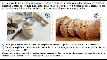 Como se explica o crescimento da massa de pão e a formação?