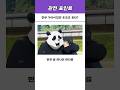 전부 가식이었던 옷코츠 유타?