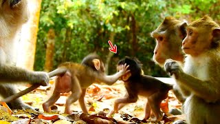 Tilly Slap Baby Ara A Hand