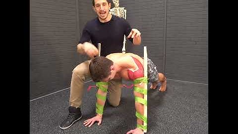 Scap Push Up Form - DONT BEND YOUR ELBOWS -MoveU