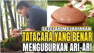 Cara Menguburkan Ari - Ari Bayi Tradisi Adat Jawa (Gus Mbodo Suuwk Nusantara)