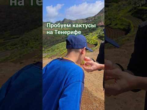 Пробуем кактусы на Тенерифе в парке Анага #Тенерифе #кактусы #анага #еда