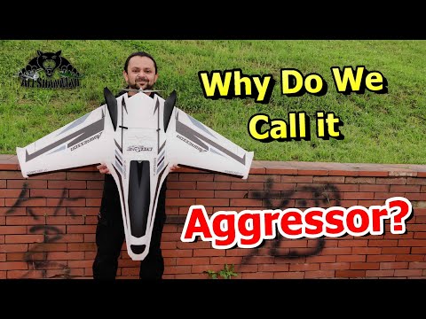 Aggressor Long Range FPV Flying Wing RC Aviation