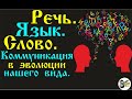 Эволюция языка: от жестов к словам ile ilgili video