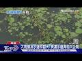 柯志恩憂大雨水蓮災損! 網友諷本來就長水裡 農民曝真相｜TVBS新聞 @TVBSNEWS01