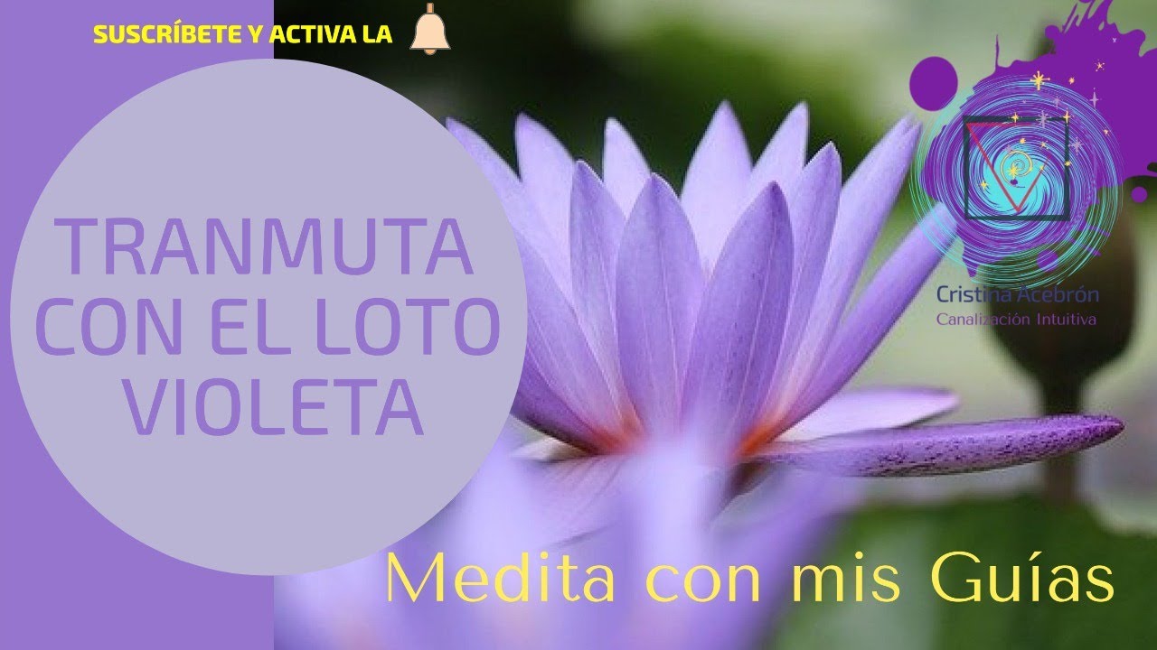 Transmuta con el Loto Violeta