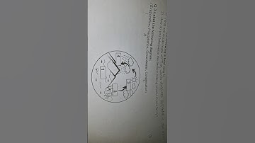 5 th std 1st Unit Test 2025 EVS 1 QUESTION PAPER WITH ANSWERS FOR PRACTICE. SUBSCRIBE 🔔