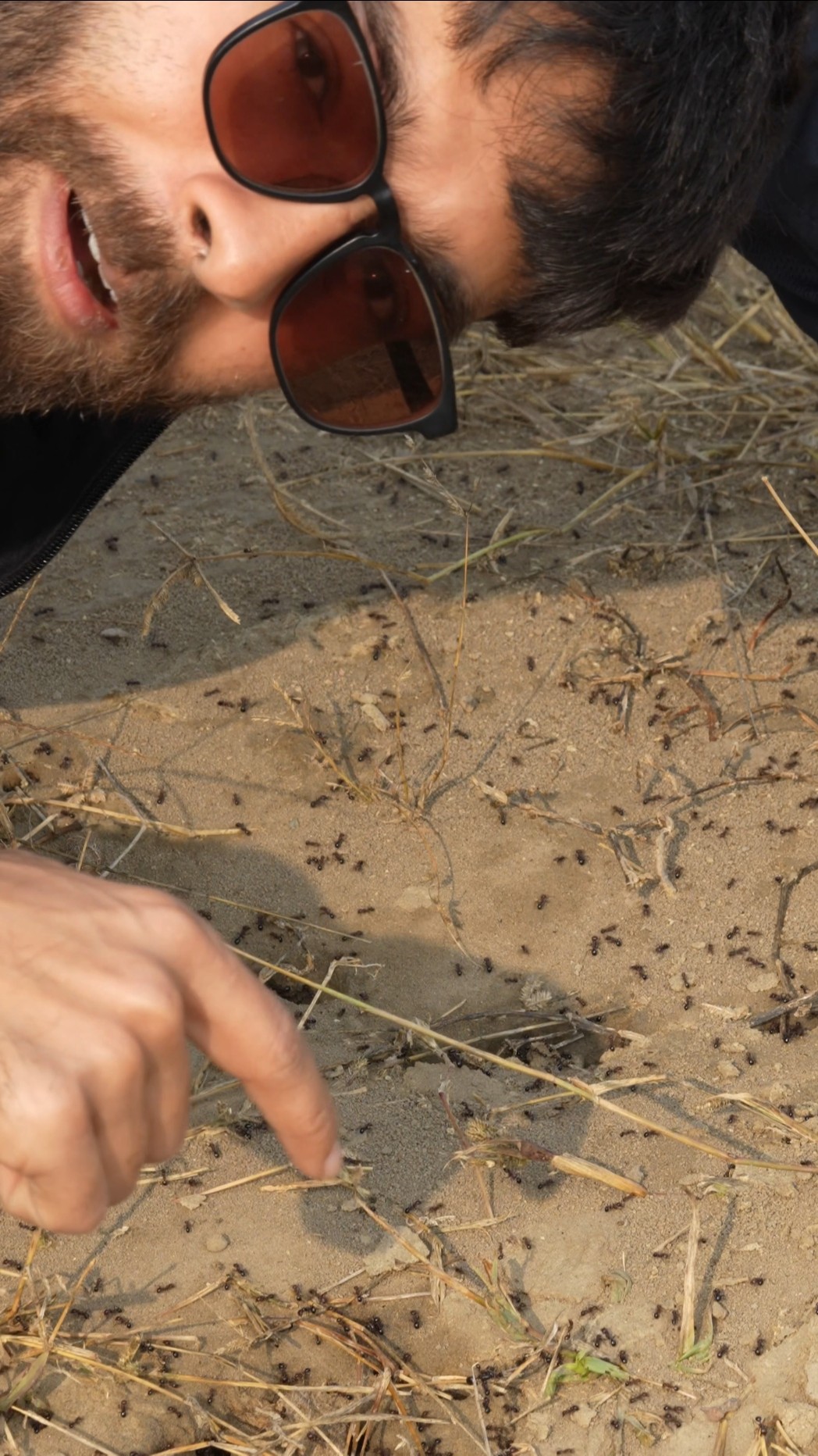 Ants Food Puzzle #bluebox