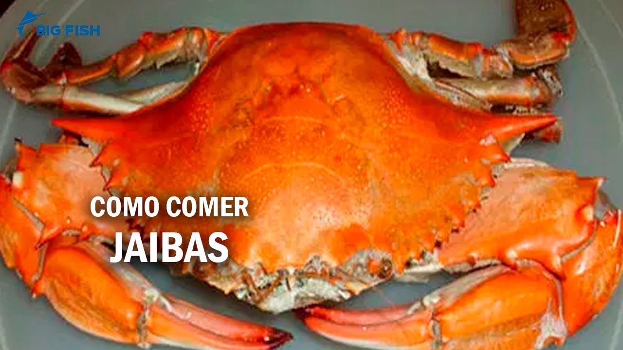 Cómo comer cangrejos Dungeness (con imágenes) - wikiHow