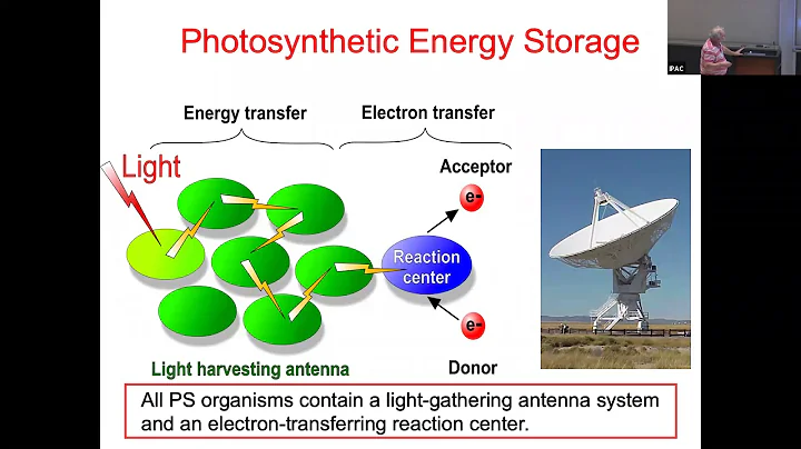 Dr. Robert Blankenship - Evolution of Photosynthes...