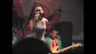 PENGOBAT RINDU - MAYA SAPUTRI OM BINARIA