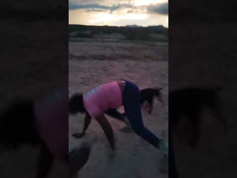 These dogs just won’t let me be great 😂#blackwomenhealthmatters #abdominalpain #fitness #nikkiyug