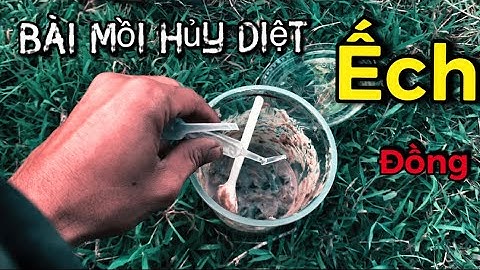 Mồi Cắm Câu Ếch Này Đã Hủy Diệt Một Khu Vực