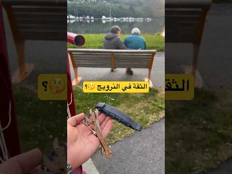 الثقة في النرويج والسرقة النرويج سياحة