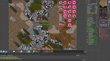 Tips and Tricks for Roshamuul West!