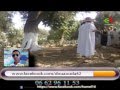 لقطات من فلم امين تحية لسكان دواودة المشاركين في هذا الانجاز 2005 صيف 