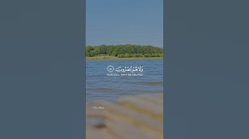 القرآن الكريم 🩵 #reels #اكسبلور #quran #الله #راحة_نفسية #قرآن #القرآن_الكريم #تجويد #ريلز #تلاوة