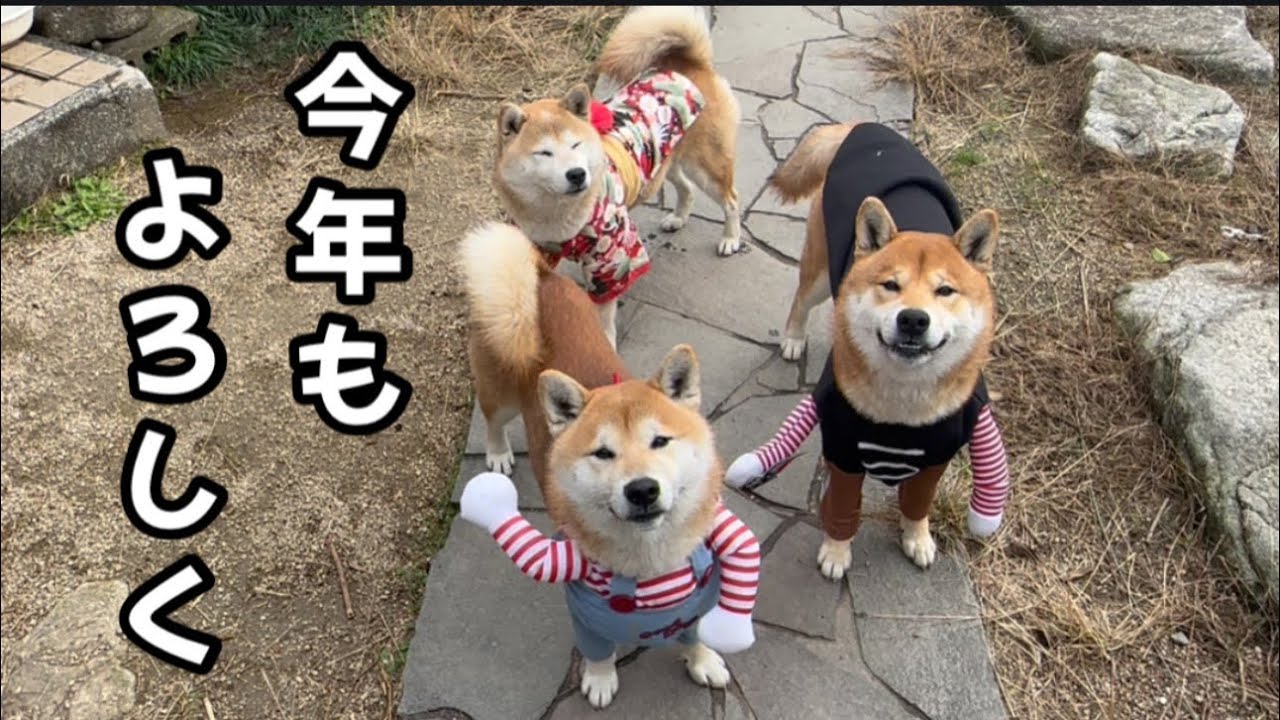 maxresdefault.jpg