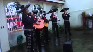 Vignette de la vidéo ""Mátalas "  Mariachi Guadalajara de Santo domingo"