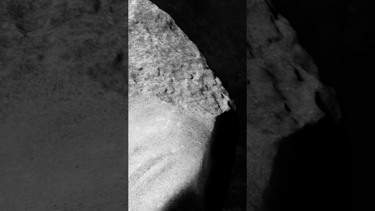 ALONE WWW.SONGSOFALOST.WORLD