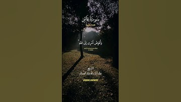 شيخ#عبدالباسط_عبدالصمد #اذكر_الله #قرآن #اكسبلور #تلاوة_خاشعة #مصر #تلاوات #quran #explore #egypt