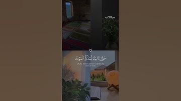 { وهو القاهر فوق عباده } القارئ فارس عباد 😭💜 #قرآن