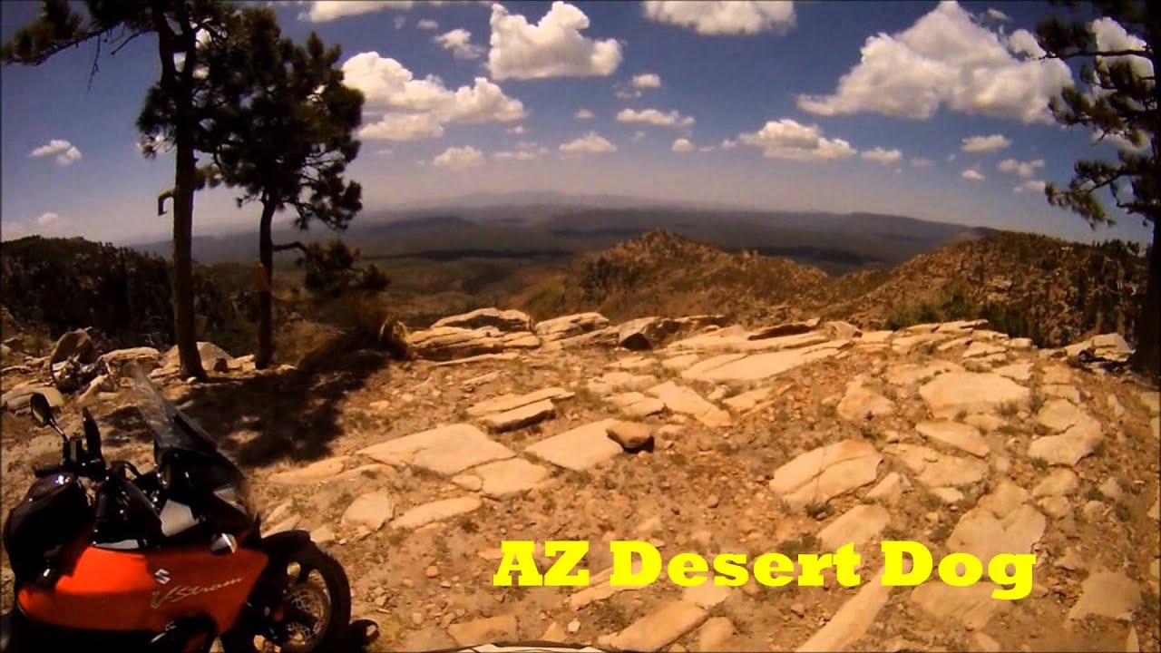 Desert Dog Channel Trailer YouTube