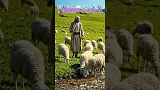 How to Find Deep Peace Using Psalm 23:1-2 Every Morning #god #love #jesus #youtube #youtubeshorts