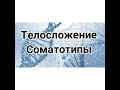 Телосложение. Соматотипы. Эктоморф, эндоморф, мезоморф. Типы телосложений человека. Примеры