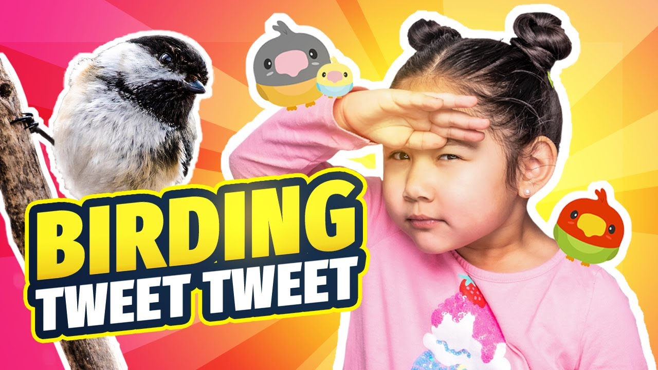 Kids feed the animals?! | Outdoor Play | Bird Adventure! | Fun Animals for Kids!