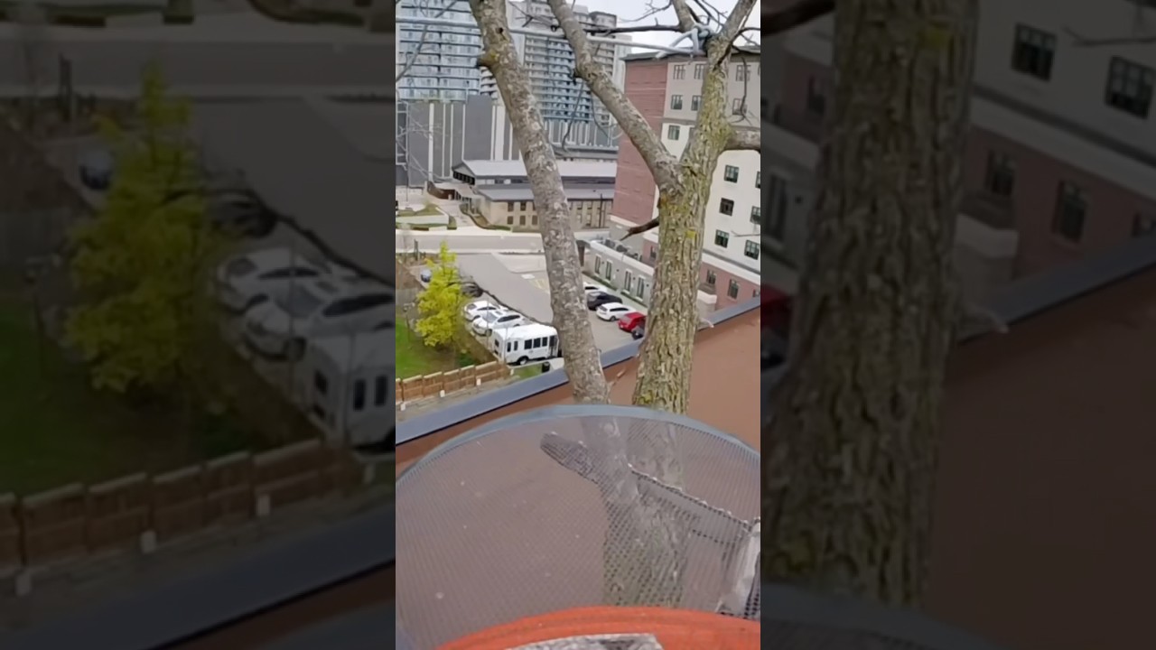 Rigging over apartment building