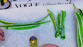 Hướng Dẫn Tự Làm Chậu Hoa Mini Bằng Kẽm Nhung Xinh Xắn Hoa Kẽm Nhung