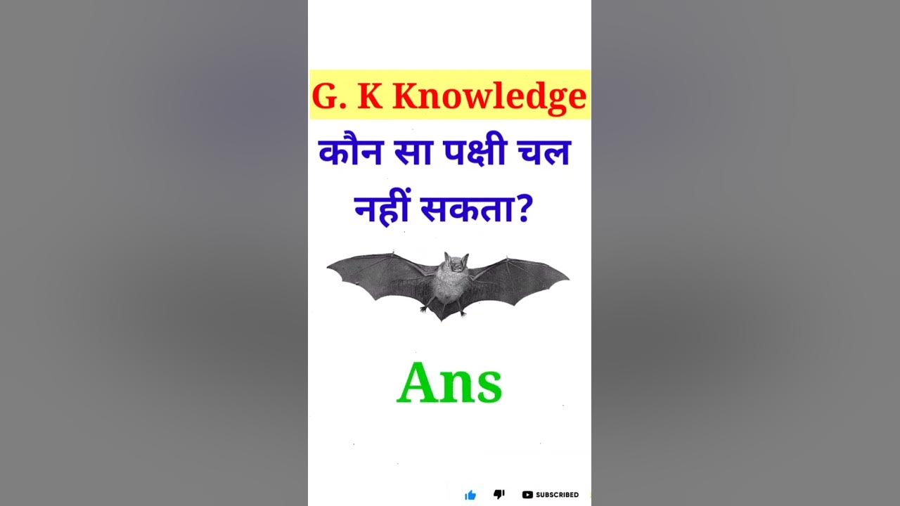 comedy-viral-video-on-instagram-comedy-viral-instagram-youtube