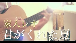 君がくれた夏 / 家入レオ (cover) chords