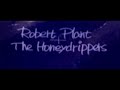 Capture de la vidéo Robert Plant And The Honeydrippers - Live In Monmouth 1985 [Full Concert]