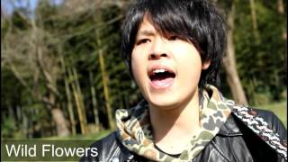 Video thumbnail of "Wild Flowers (ZIDS OP)/RAMAR       tommy cover"
