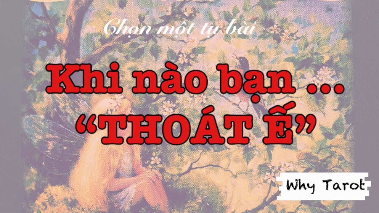 [#21] KHI NÀO BẠN THOÁT Ế ???#tarot #tarotreading